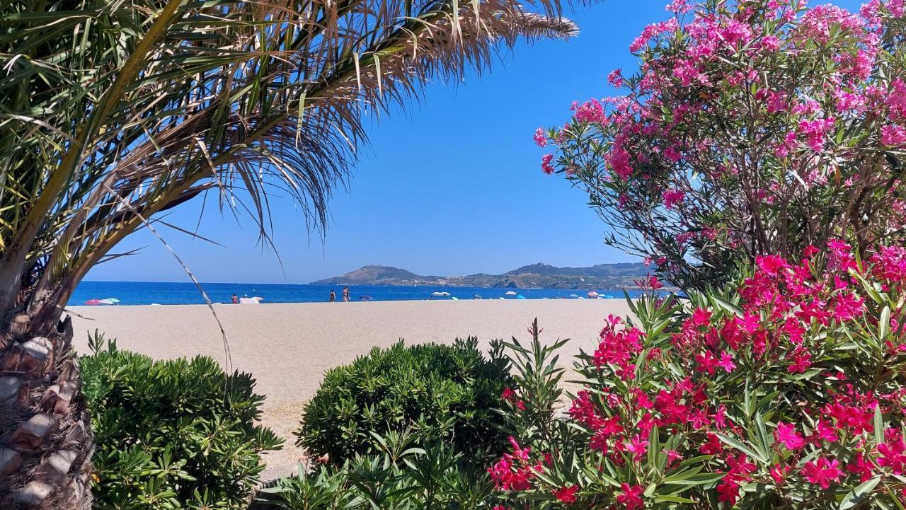 Plage des Pins, super studio front de mer Plage dʼArgelès Extérieur photo