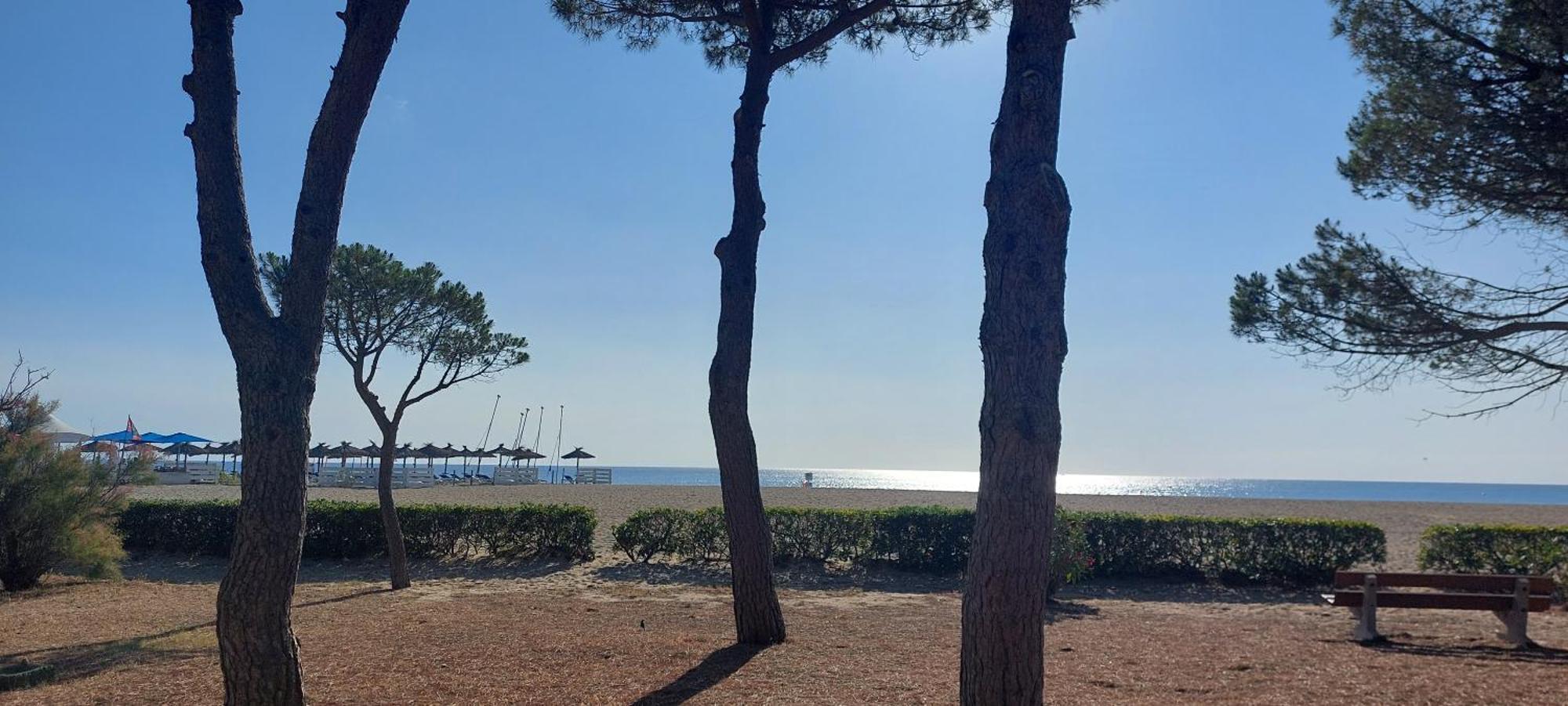 Plage des Pins, super studio front de mer Plage dʼArgelès Extérieur photo